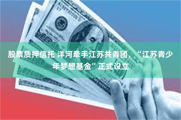 股票质押信托 洋河牵手江苏共青团，“江苏青少年梦想基金”正式设立