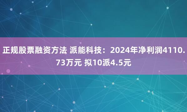 正规股票融资方法 派能科技：2024年净利润4110.73万元 拟10派4.5元
