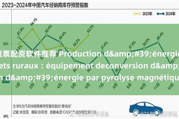 股票配资软件推荐 Production d&#39;énergie à partir des déchets ruraux : équipement deconversion d&#39;énergie par pyrolyse magnétique_gaz_les_Four