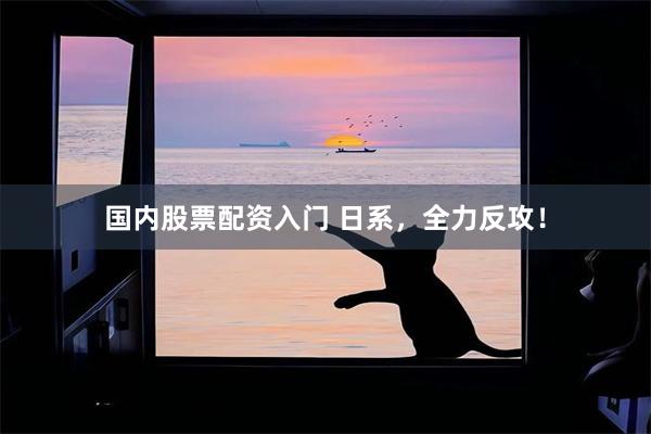 国内股票配资入门 日系，全力反攻！