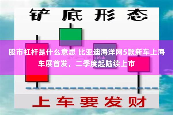 股市杠杆是什么意思 比亚迪海洋网5款新车上海车展首发，二季度起陆续上市