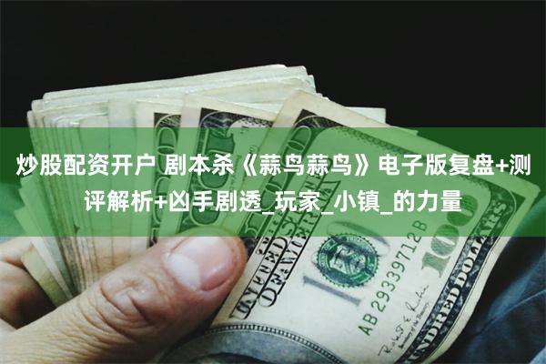 炒股配资开户 剧本杀《蒜鸟蒜鸟》电子版复盘+测评解析+凶手剧透_玩家_小镇_的力量