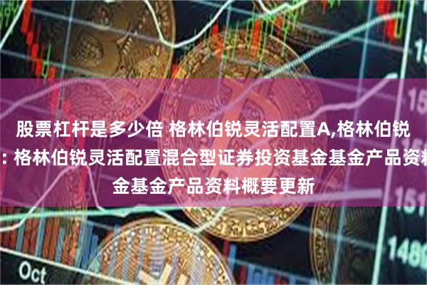 股票杠杆是多少倍 格林伯锐灵活配置A,格林伯锐灵活配置C: 格林伯锐灵活配置混合型证券投资基金基金产品资料概要更新