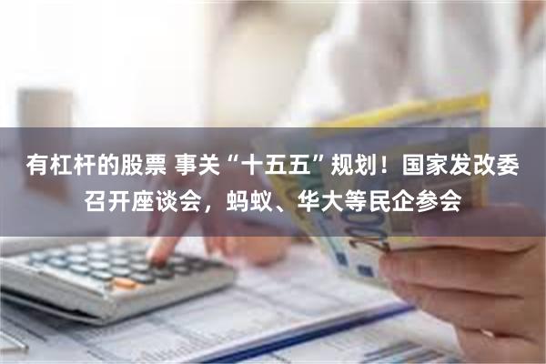 有杠杆的股票 事关“十五五”规划！国家发改委召开座谈会，蚂蚁、华大等民企参会