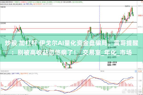 炒股 加杠杆 伊戈尔AI量化资金盘骗局，震哥提醒：别被高收益忽悠瘸了！_交易室_年化_市场